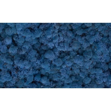 MECH Chrobotek Reniferowy (19.Lavender Blue) 50g